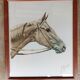 Lithographie cheval J.Rivet