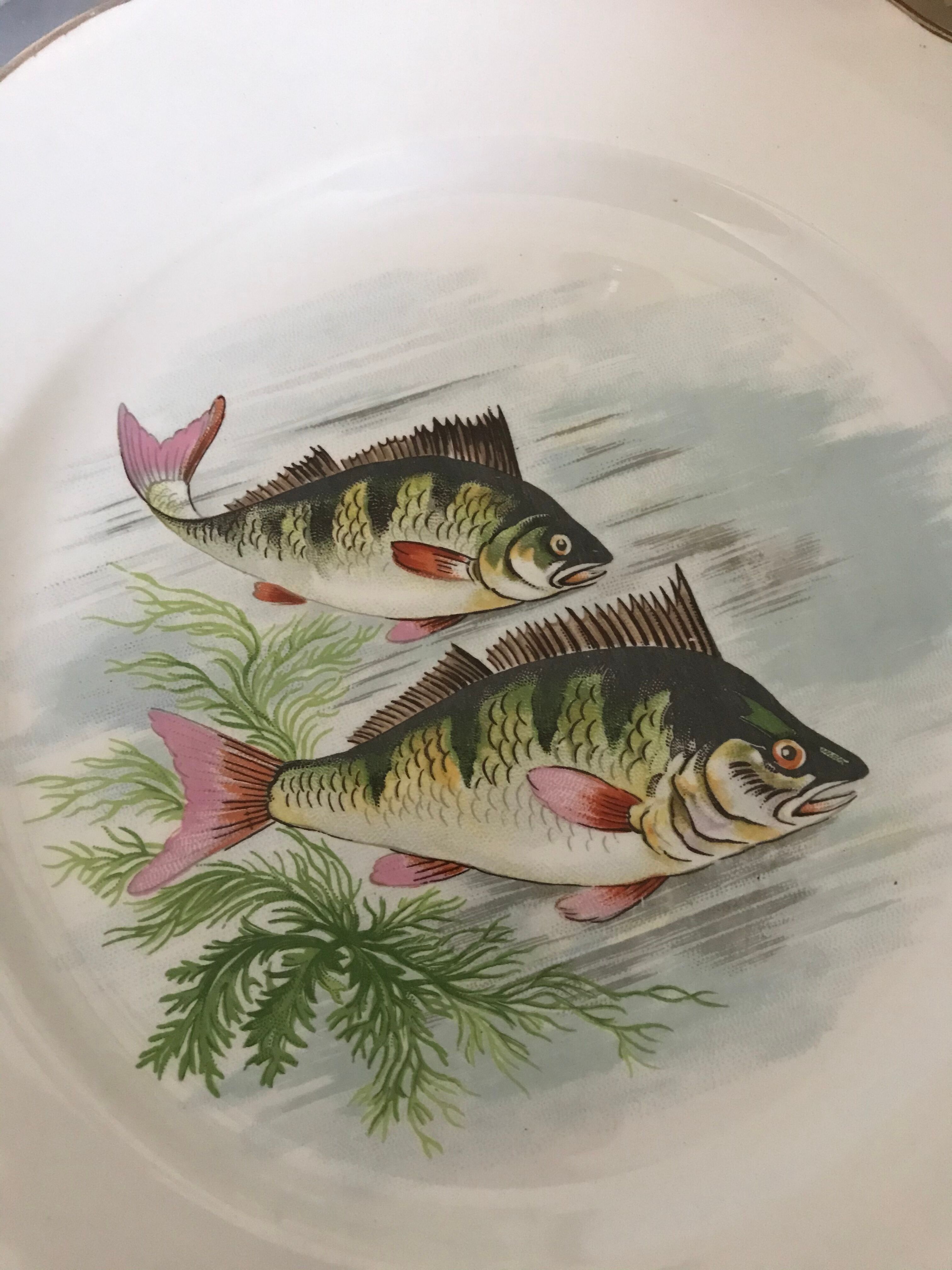 12 Digoin plates - Sarreguemines