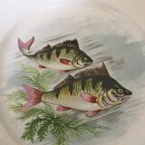 12 Digoin plates - Sarreguemines