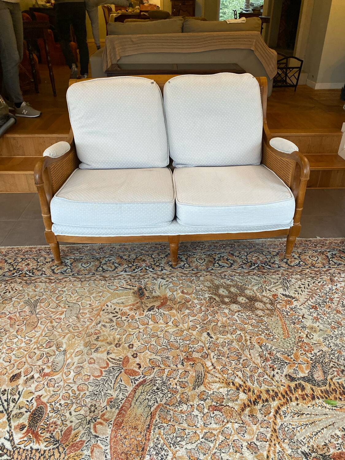 Sofa and armchair in cane and wood by Jean Roche