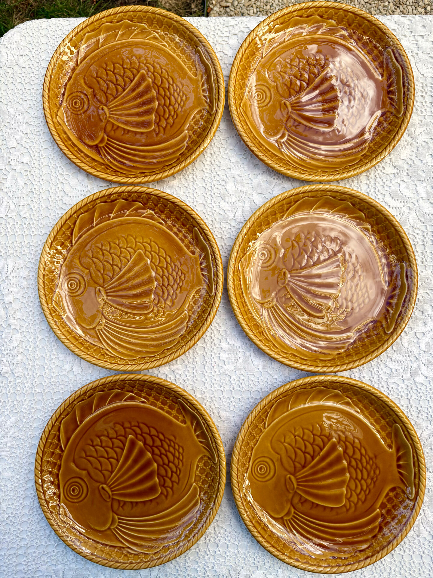 6 large barbotine plates gien fish