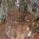 Photophore glass pink bubble parma unsigned vintage biot glassware