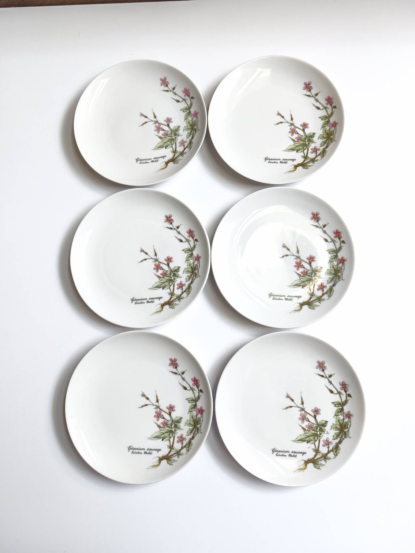 Lot de 6 assiettes à dessert de Bavière mobil décor fleurs roses