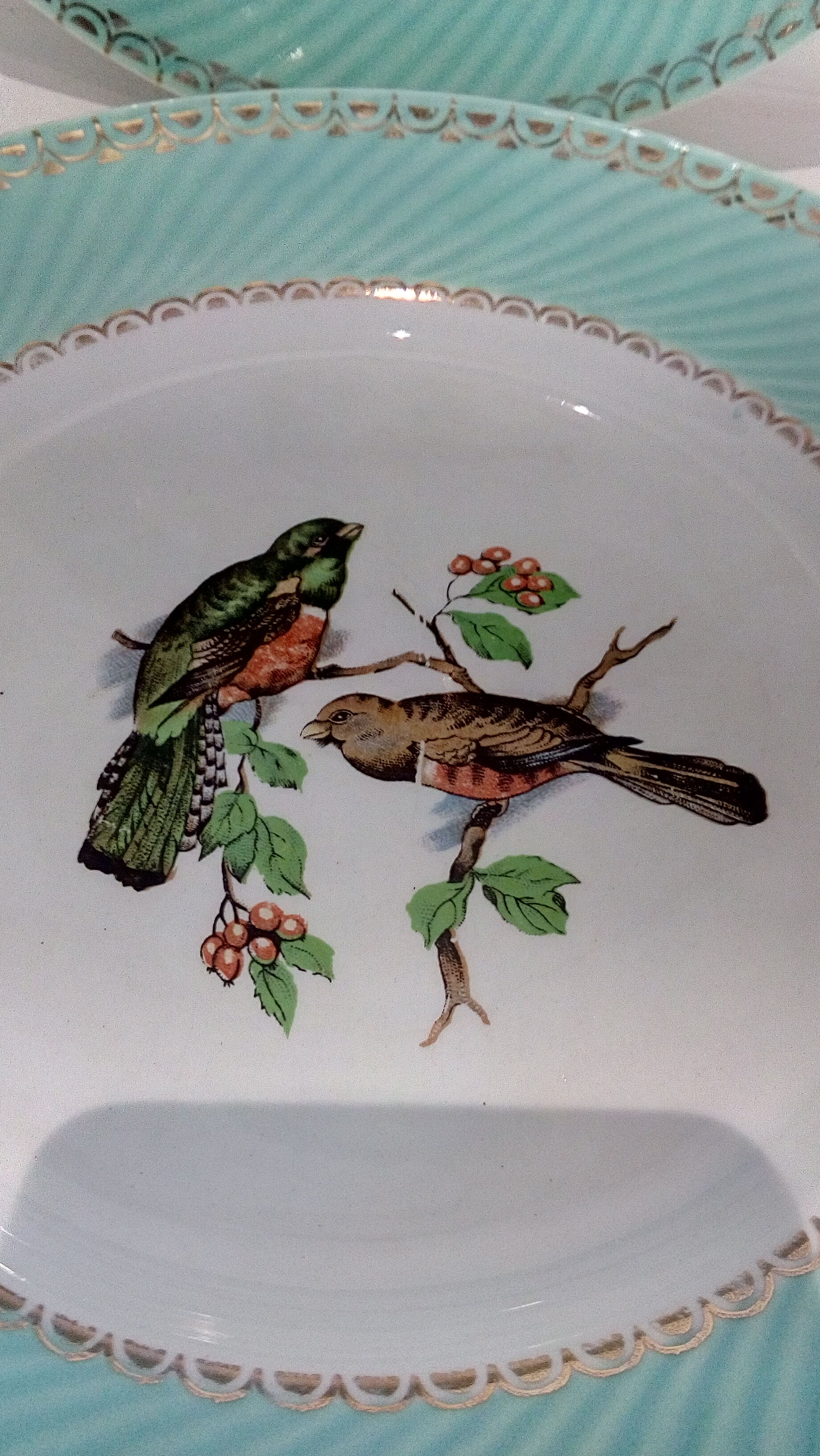 Flat plates water green birds
