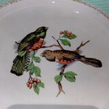 Flat plates water green birds