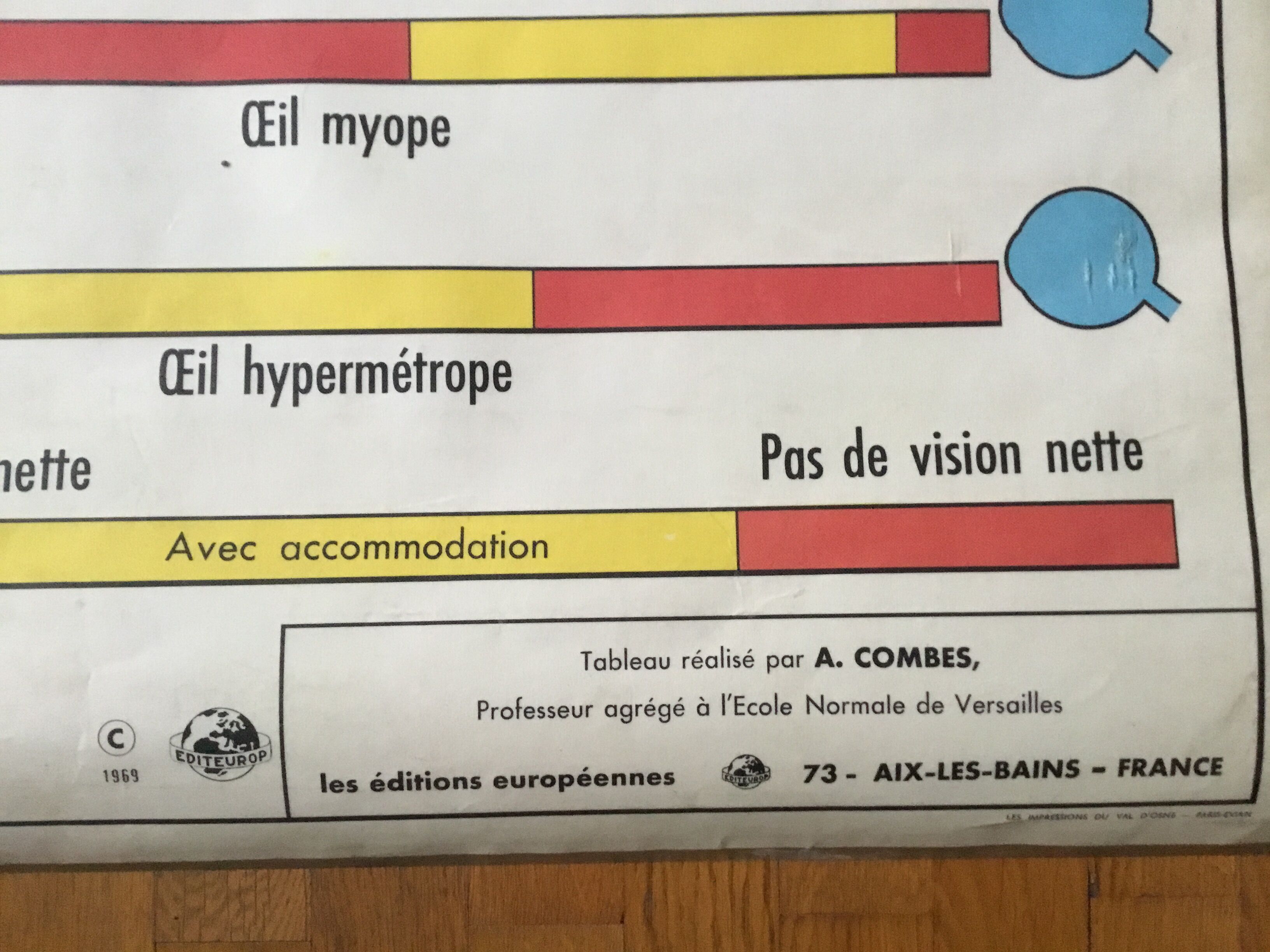 Educational poster digestion and the eye and vision