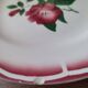 Set of 6 ceramic plates from Sarreguemines