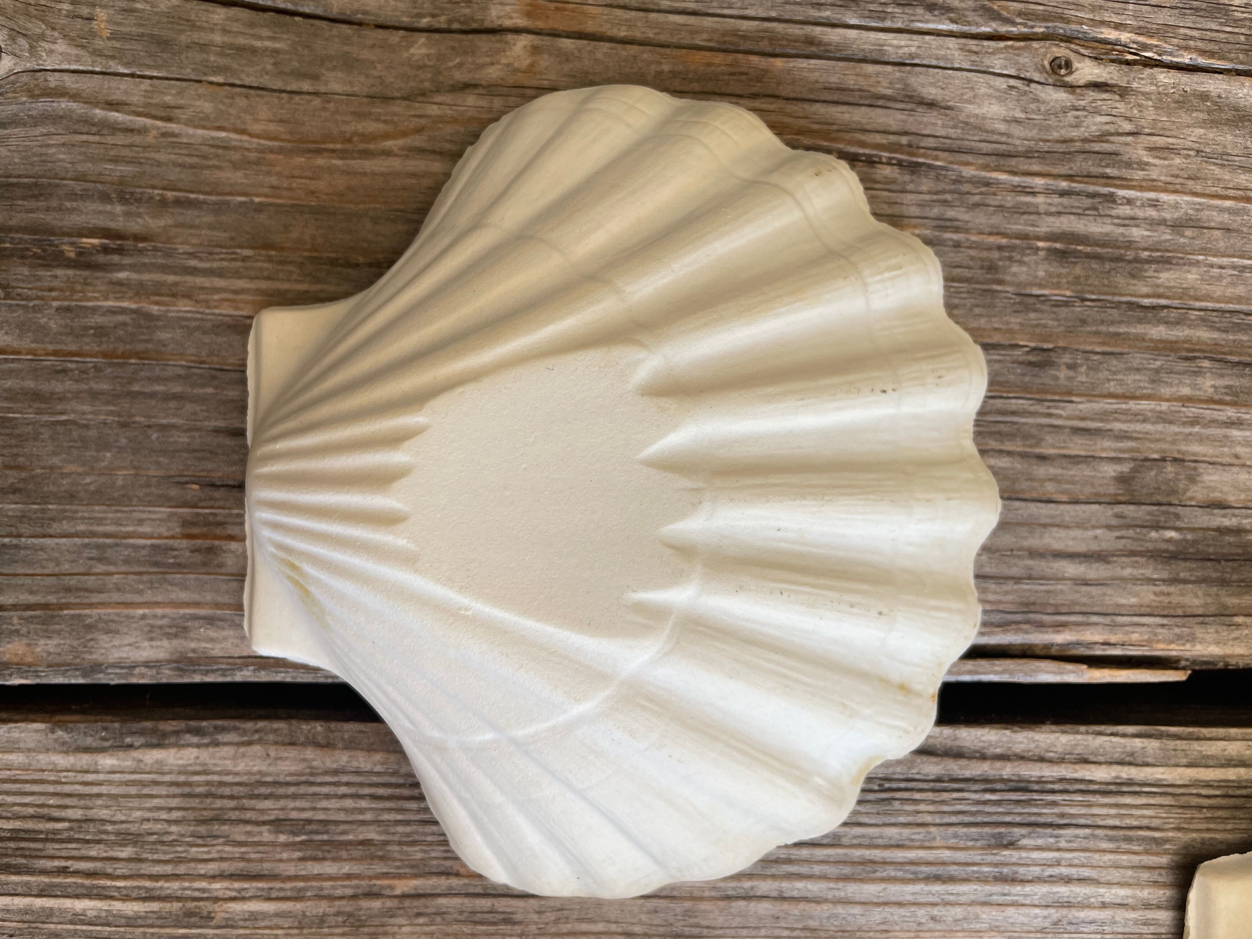 Lot de 6 coupelles coquillages en céramique