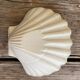 Lot de 6 coupelles coquillages en céramique