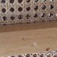 Paire de chaises Marcel Breuer Cesca B32