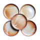 5 Enamelled sandstone sits