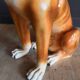 Porcelain dog