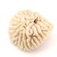 Natural coral white beige, 70s