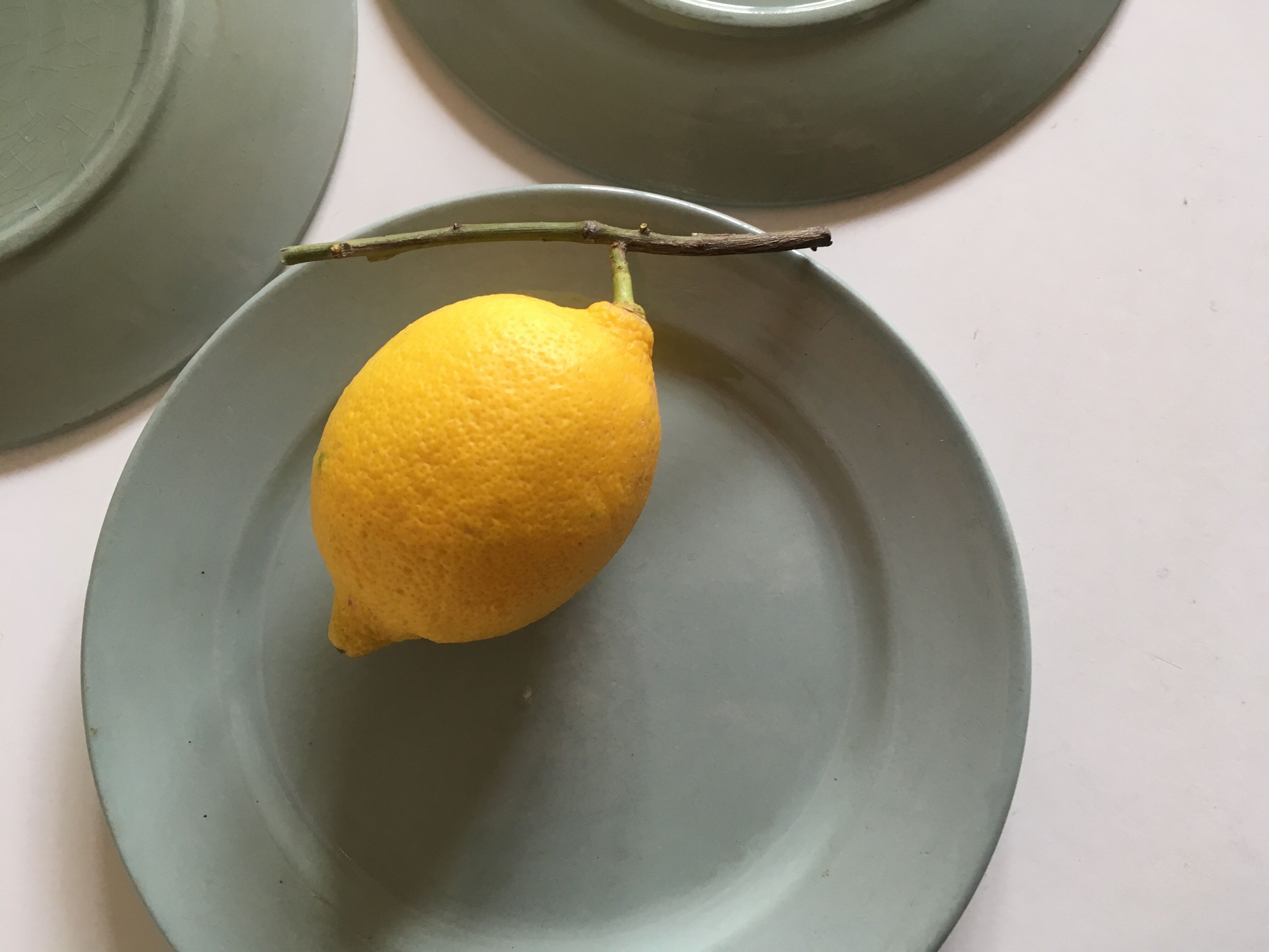 Celadon Sarreguemines earthenware dessert plates