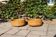 Pair of Italian rattan planters 1960