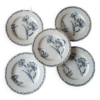 Lunéville Carnation Plates