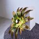 Flower wall lamp, 1970s