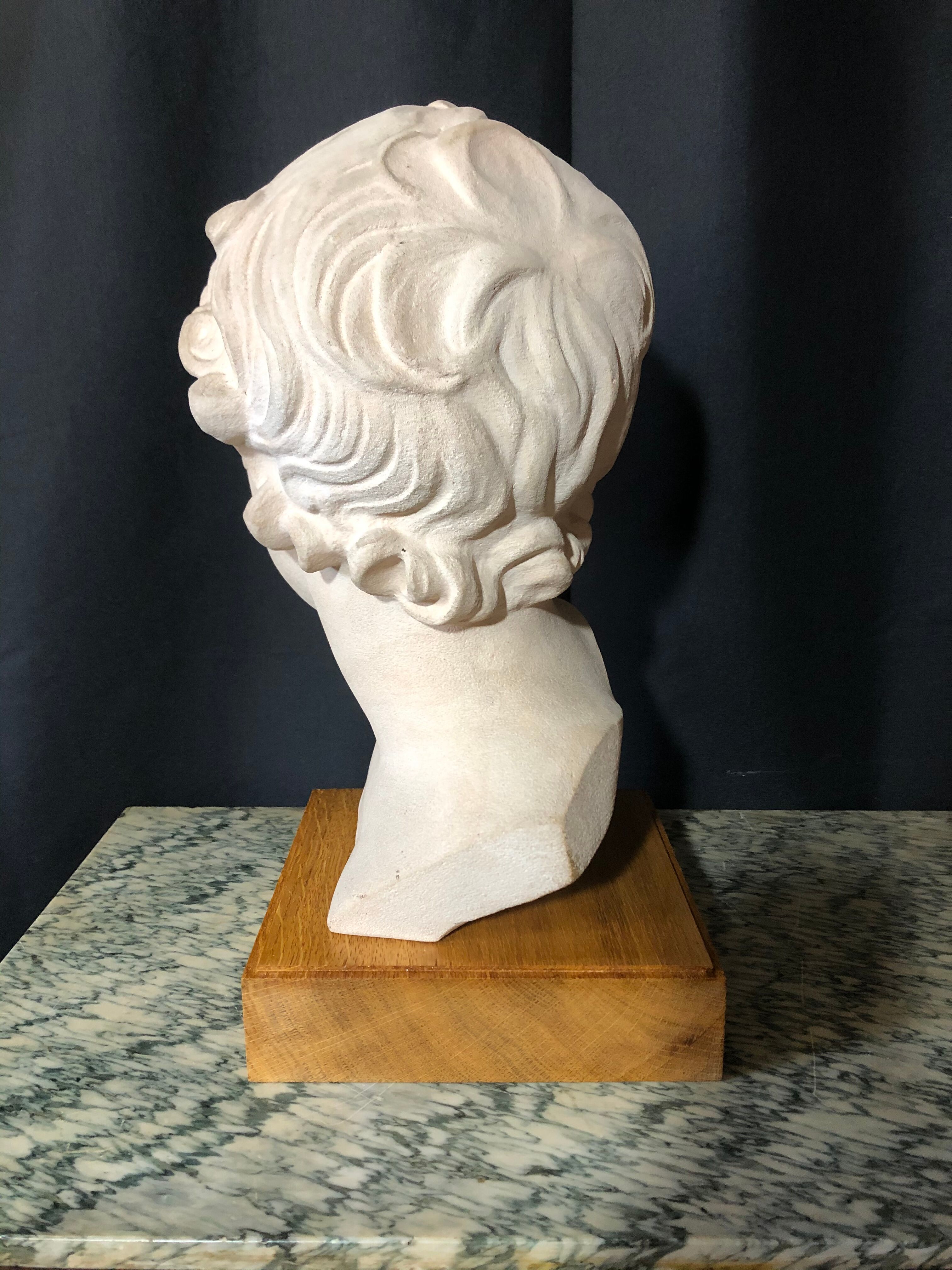 D'arly r. terracotta bust