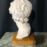 D'arly r. terracotta bust