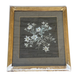 Tableau peinture ancienne fleurs Stauffacher cabinet de curiosité
