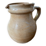 Water pitcher in marsh sandstone