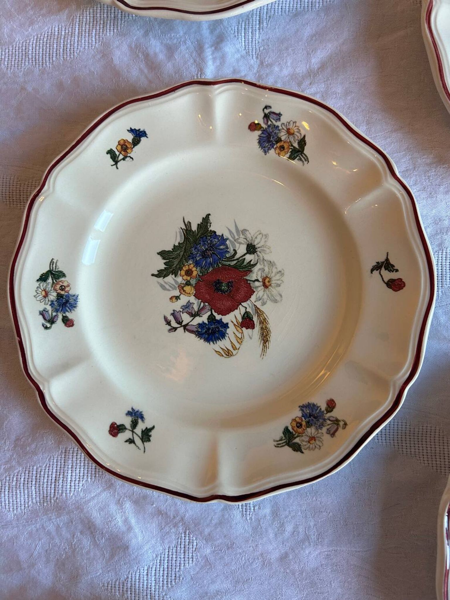 Set of 11 antique plates in Sarreguemines earthenware – Agre decoration