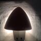 Pair of annees70