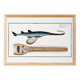 Poster about the sawfish, based on an old engraving from 1746.