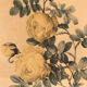 Pair of illustrations framed with roses by PJ Redouté