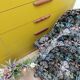 Crapaud fleuri