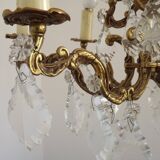 Lustre Cage 12 Lights Art Nouveau Bronze Glass and Crystal 5226