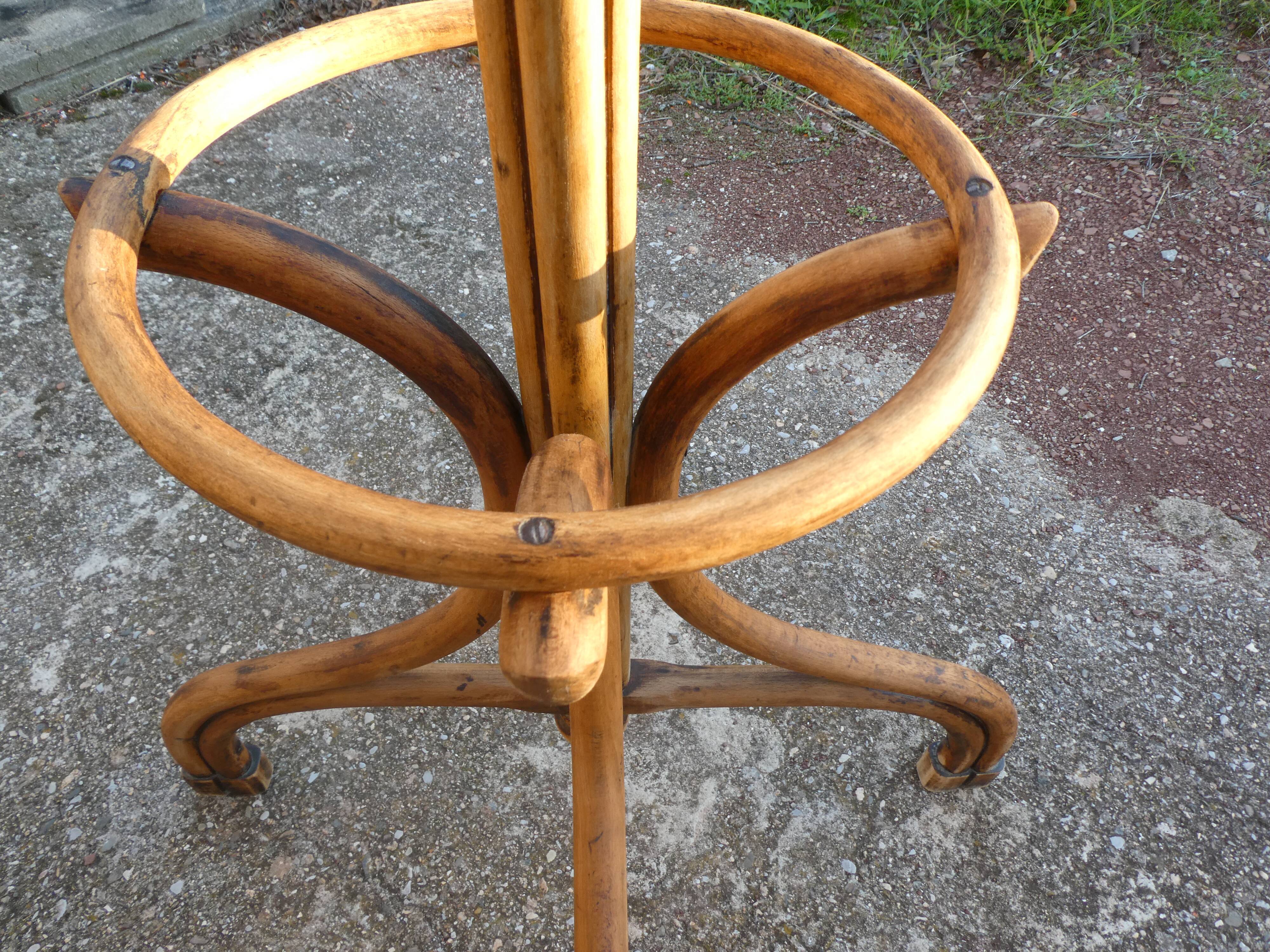 Parrot coat rack in curved wood - Art Nouveau