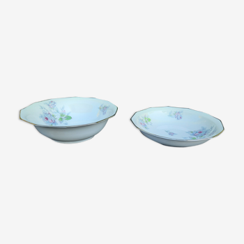 1 bowl and 1 porcelain hollow dish