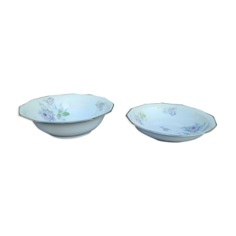 1 bowl and 1 porcelain hollow dish