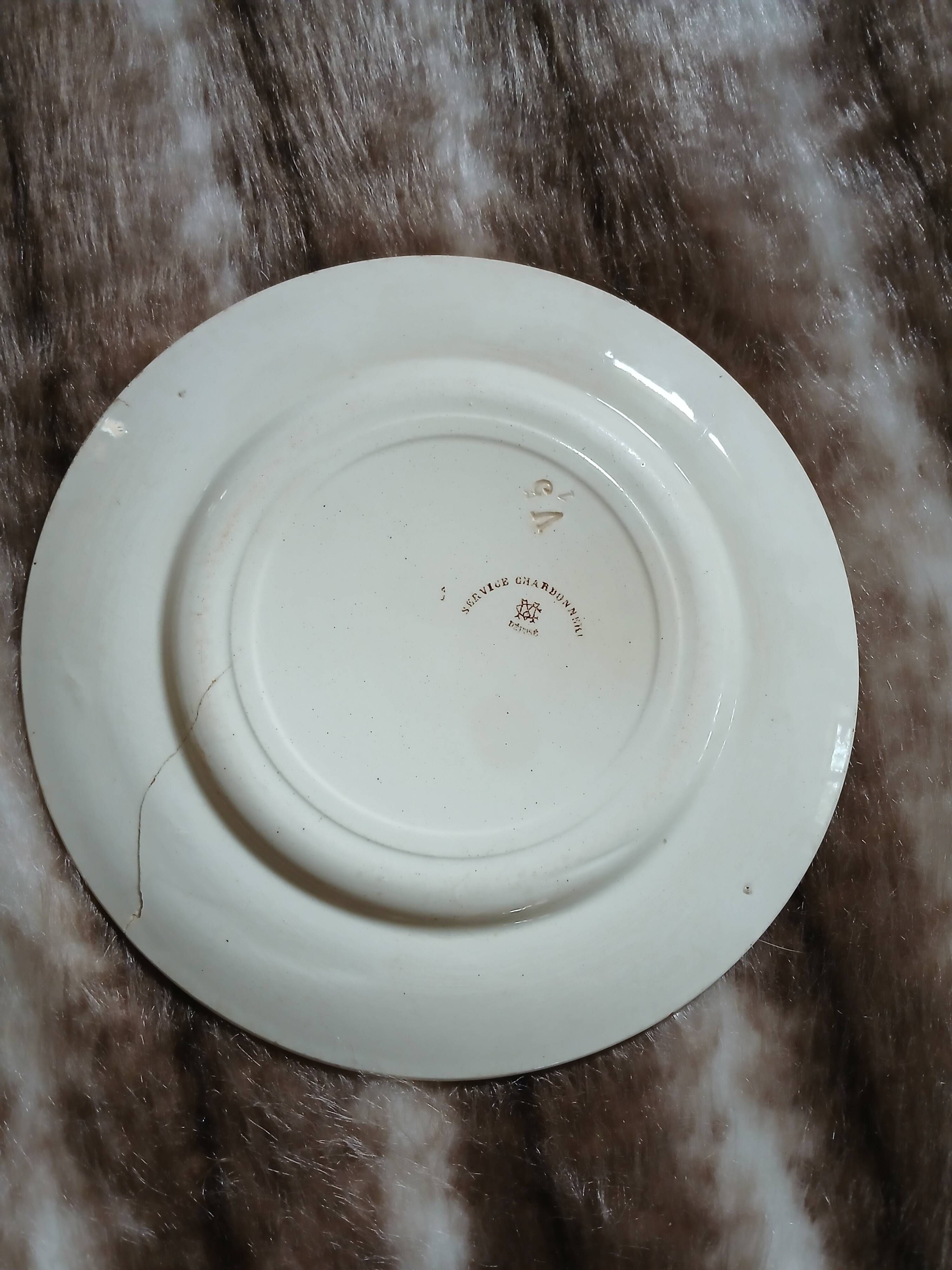 10 antique flat plates in ironstone