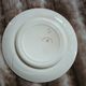 10 antique flat plates in ironstone