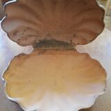 Raw cut scallop shell