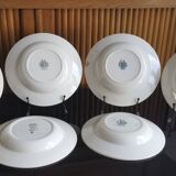 6 anciennes assiettes creuses dépareillées en Terre de Fer vertes et bleues