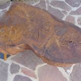 Elm tree trunk coffee table