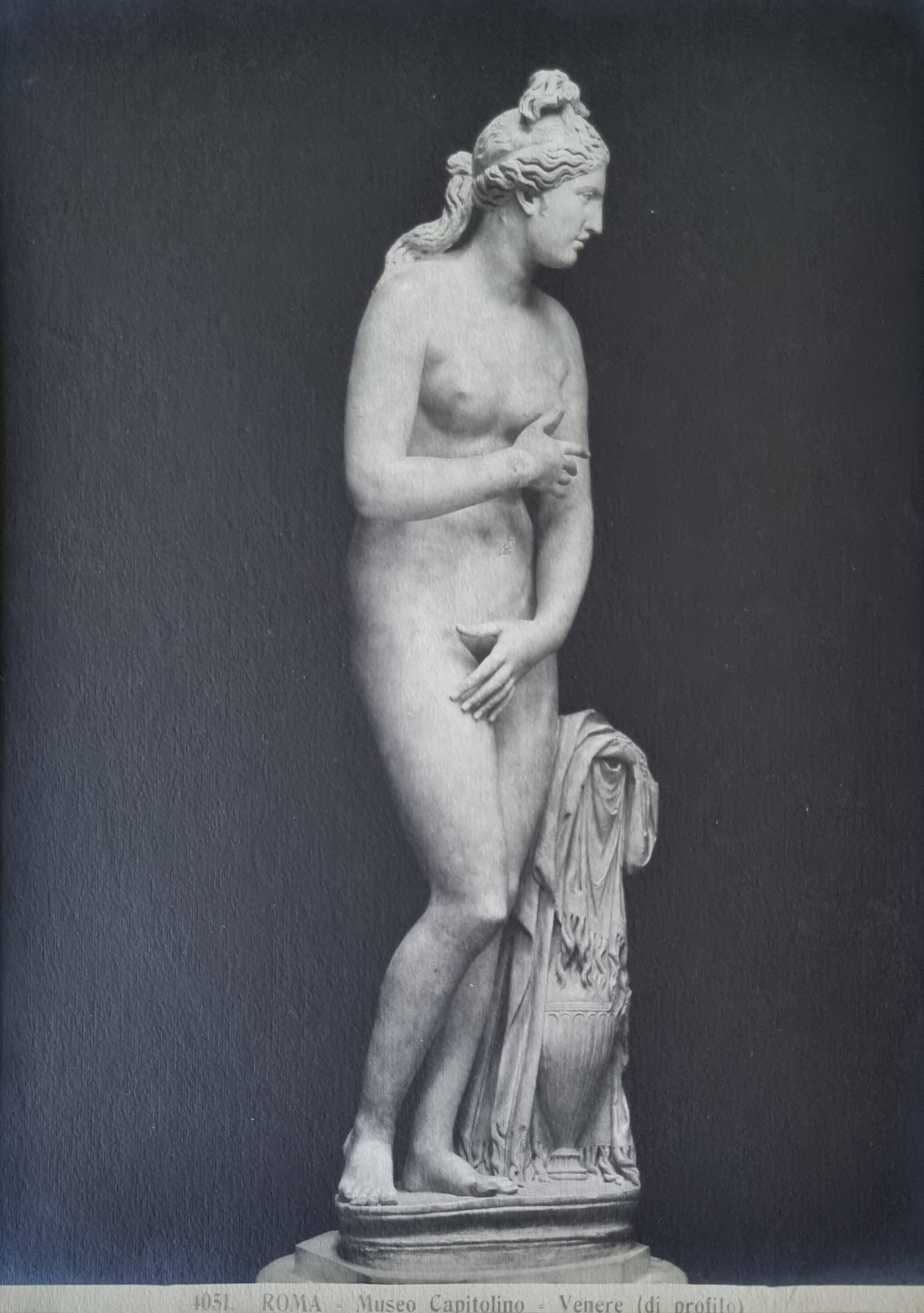 Old photograph of Venus in profile, Capitoline Museum, Rome, 1900, 26x39 cm.
