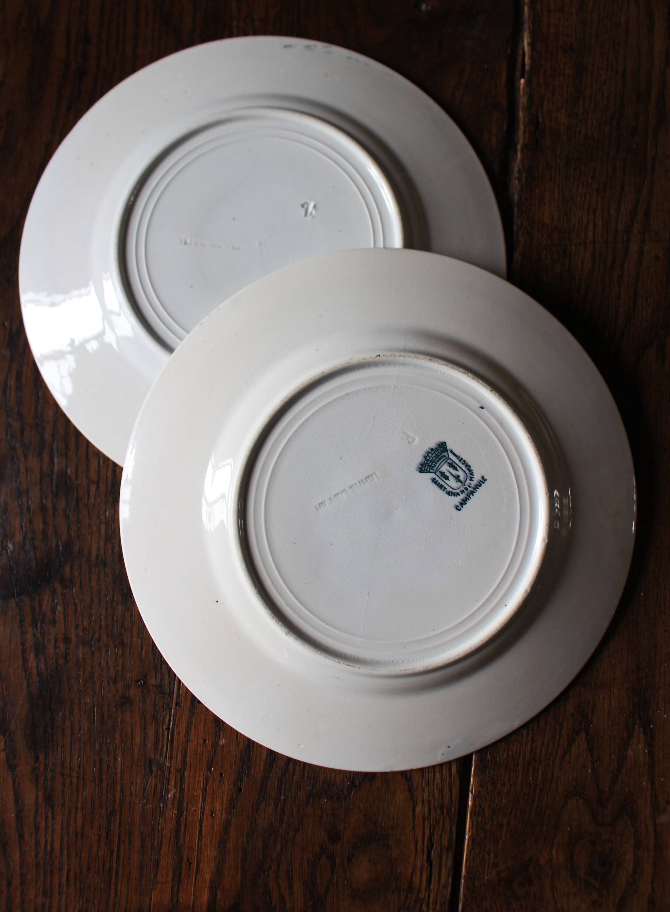 Mismatched lot 4 flat plates + small Saint Amand Terre de fer Blue Green