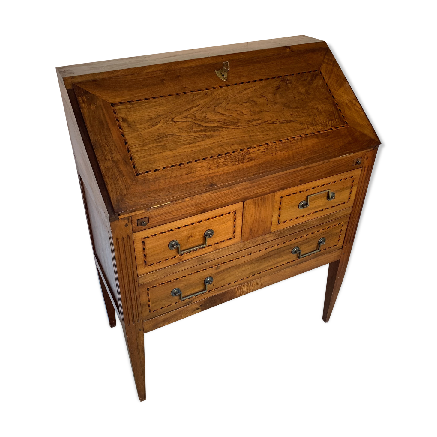 Secretary back d ANE