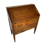 Secretary back d ANE