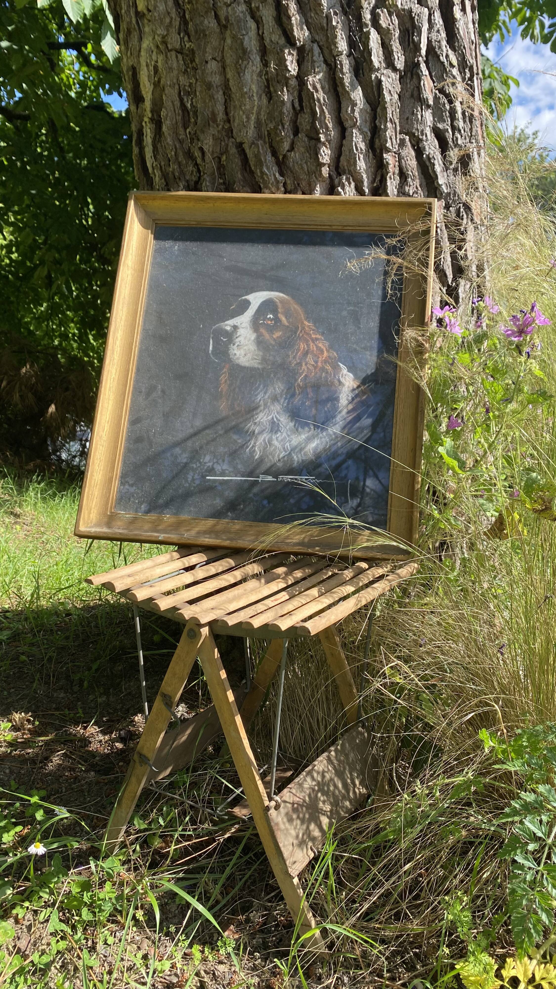 Framed pastel English Springer Spaniel dog