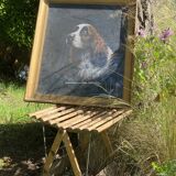 Pastel framed English Springer Spaniel dog