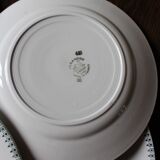 Lot 6 flat plates green Saint Amand