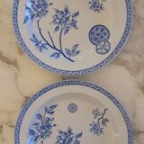 Round dishes Iron Earth
