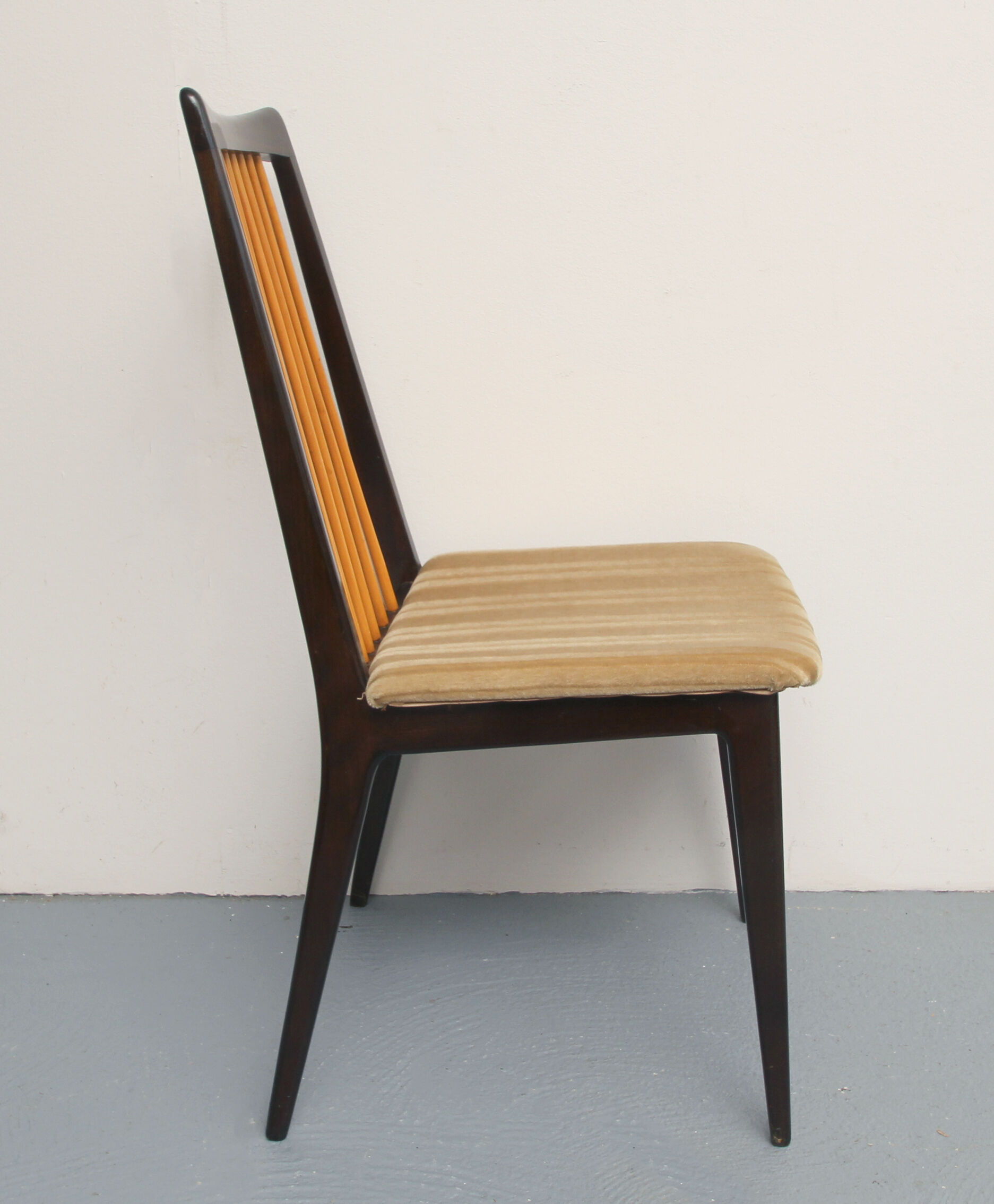 1950s set of 4 chairs, bicolor design