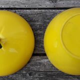 Yellow apple ice bucket