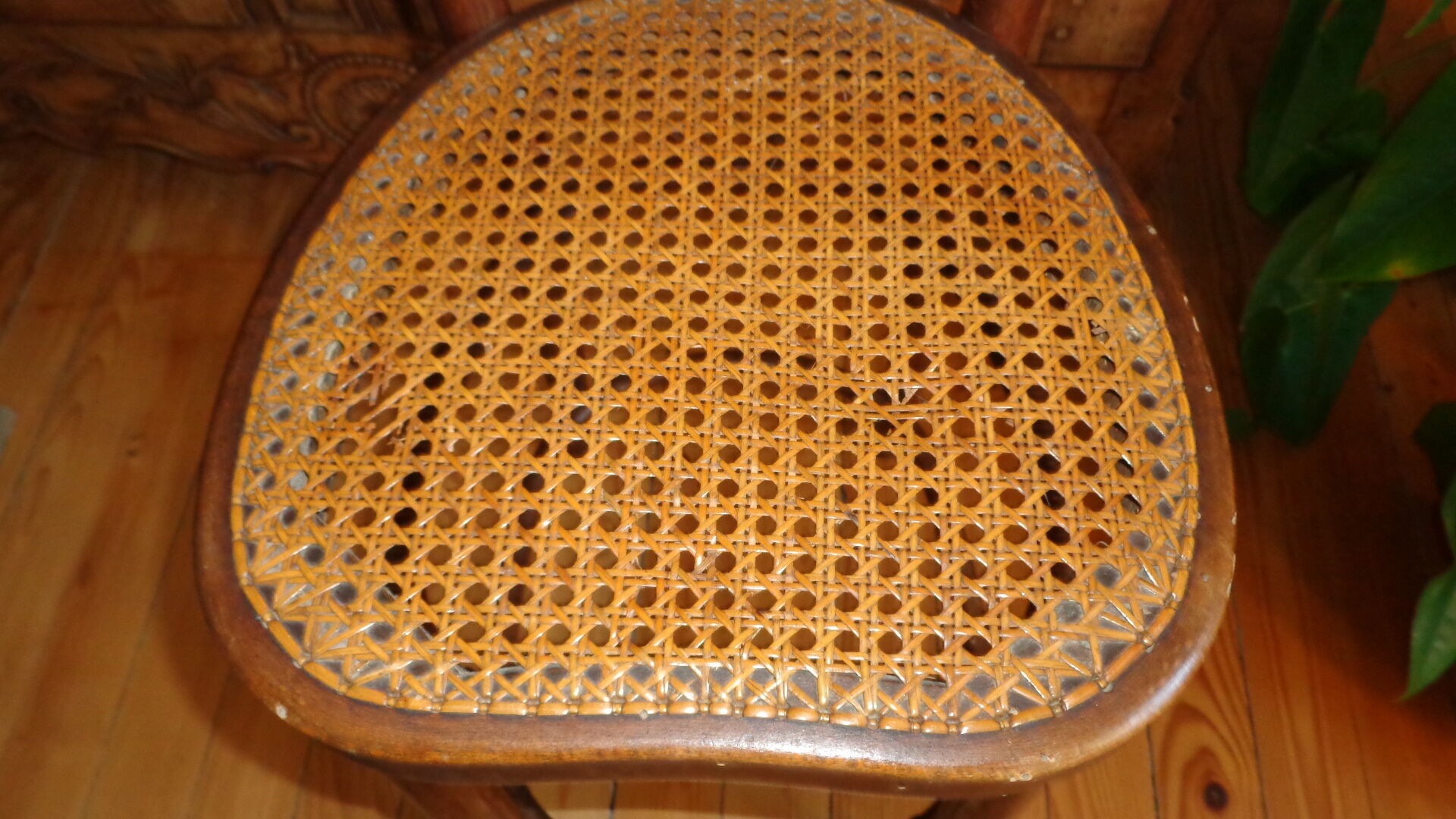 High Chair J&J Kohn Mundus